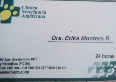 CLINICA VETERINARIA AMÉRICANA